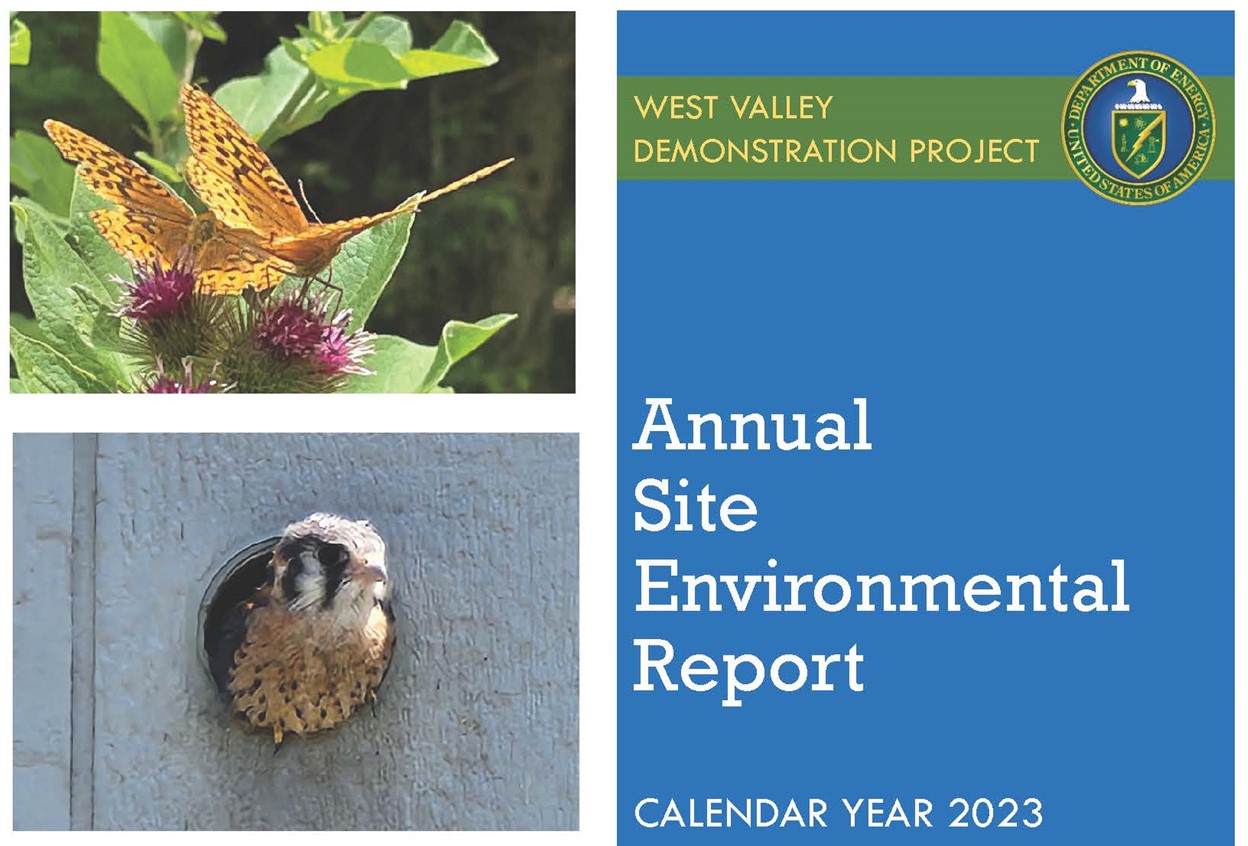 福袋 バースデイ Environmental Site Annual Reports Energy of Department | (ASER) Nature&Ecology